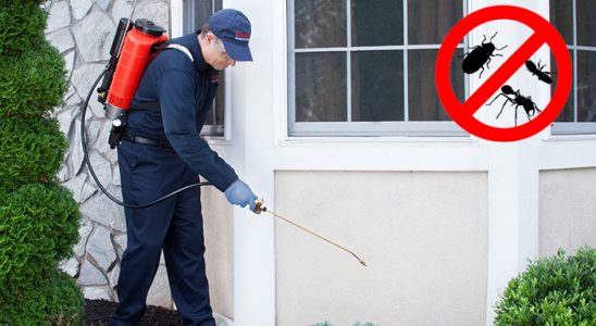Kayapınar Kemirgen İlaçlama böcek ilaçlama ve haşere kontrolü — ilaclama-tr.com